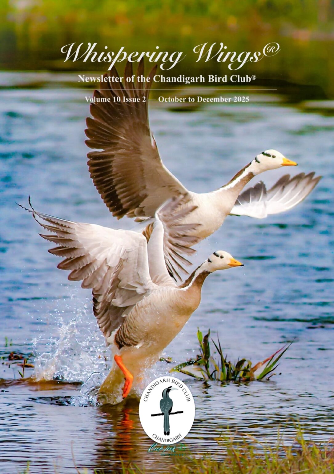 Volume 10 Issue 2 October to December 2025 – CBC