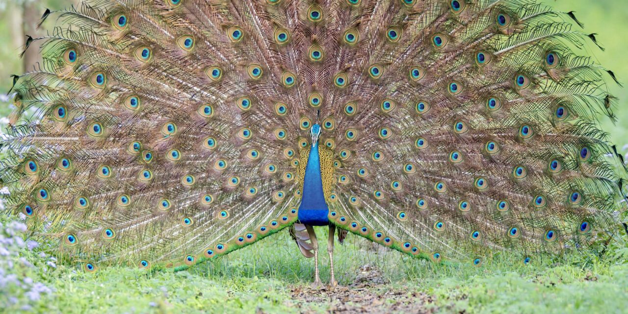 Volume 10 Issue 3 January to March 2026